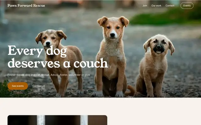 Paws Forward, a animal rescue site